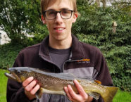 Emme-Bachforelle, 52 cm, 2,4 Pfund