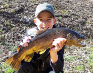 Birs-Bachforelle, 53 cm, 27 Pfund