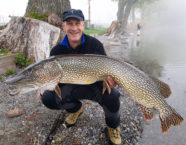 Baldeggersee-Hecht, 133 cm, 31,6 Pfund